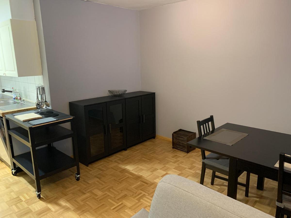 Xl City Center Apartment-Contactless Check-In バーゼル エクステリア 写真