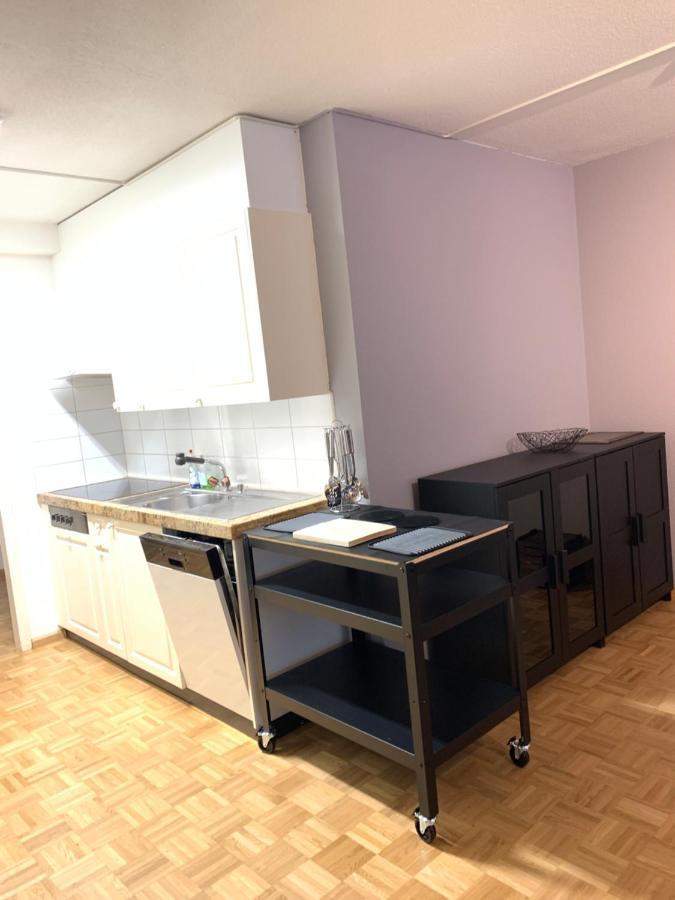 Xl City Center Apartment-Contactless Check-In バーゼル エクステリア 写真